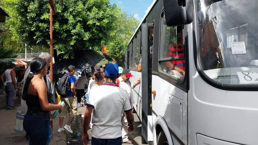 buses